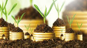 المشاركة في الاسلام المشاركة في الاسلام